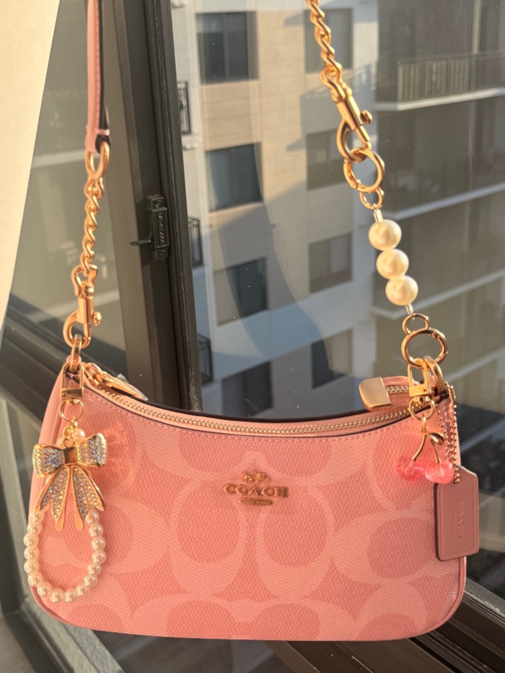 coach Teri bag